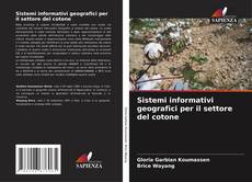 Sistemi informativi geografici per il settore del cotone kitap kapağı
