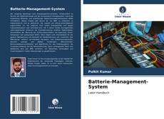 Batterie-Management-System kitap kapağı