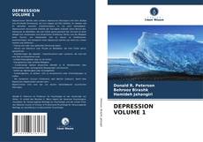 DEPRESSION VOLUME 1 kitap kapağı