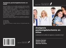 Bookcover of Analgesia postamigdalectomía en niños