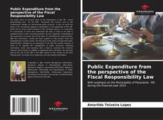 Capa do livro de Public Expenditure from the perspective of the Fiscal Responsibility Law 