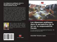 Bookcover of Les dépenses publiques dans la perspective de la loi sur la responsabilité fiscale