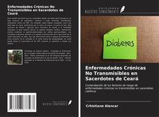 Portada del libro de Enfermedades Crónicas No Transmisibles en Sacerdotes de Ceará
