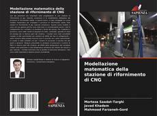 Bookcover of Modellazione matematica della stazione di rifornimento di CNG