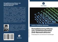 Dampfphasensynthese von eindimensionalen ZnO-Nanostrukturen kitap kapağı