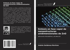 Buchcover von Síntesis en fase vapor de nanoestructuras unidimensionales de ZnO