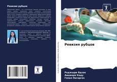 Buchcover von Ревизия рубцов