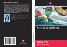 Bookcover of Revisão de cicatrizes