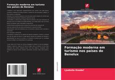 Bookcover of Formação moderna em turismo nos países do Benelux