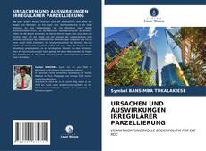 Bookcover of URSACHEN UND AUSWIRKUNGEN IRREGULÄRER PARZELLIERUNG