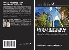 CAUSAS Y EFECTOS DE LA SUBDIVISIÓN IRREGULAR kitap kapağı