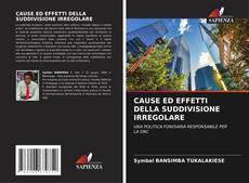 Buchcover von CAUSE ED EFFETTI DELLA SUDDIVISIONE IRREGOLARE