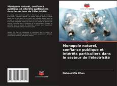 Buchcover von Monopole naturel, confiance publique et intérêts particuliers dans le secteur de l'électricité