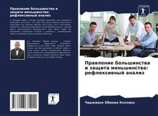 Bookcover of Правление большинства и защита меньшинства: рефлексивный анализ