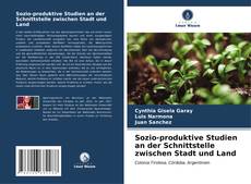 Bookcover of Sozio-produktive Studien an der Schnittstelle zwischen Stadt und Land