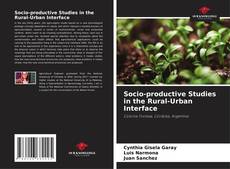 Socio-productive Studies in the Rural-Urban Interface kitap kapağı