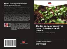 Copertina di Études socio-productives dans l'interface rural-urbain