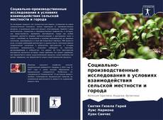 Bookcover of Социально-производственные исследования в условиях взаимодействия сельской местности и города