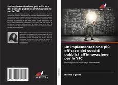 Bookcover of Un'implementazione più efficace dei sussidi pubblici all'innovazione per le YIC