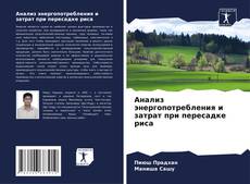 Bookcover of Анализ энергопотребления и затрат при пересадке риса