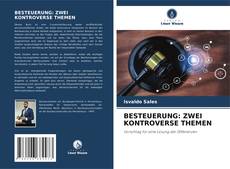 Capa do livro de BESTEUERUNG: ZWEI KONTROVERSE THEMEN 