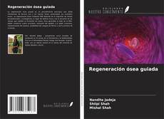 Regeneración ósea guiada kitap kapağı
