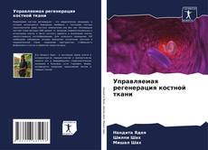 Bookcover of Управляемая регенерация костной ткани