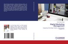 Digital Marketing Management的封面