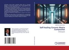 Buchcover von Self-healing Ceramic Matrix Composites
