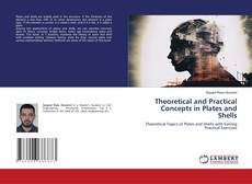 Buchcover von Theoretical and Practical Concepts in Plates and Shells