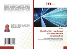 Borítókép a  Modélisation numérique des écoulements compressibles - hoz