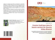 Bookcover of Erosion hydrique dans le bassin versant du Gourou (Côte d'Ivoire)