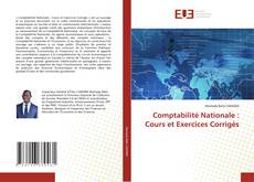 Copertina di Comptabilité Nationale : Cours et Exercices Corrigés