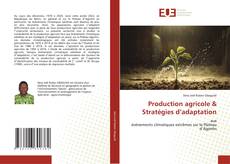 Bookcover of Production agricole & Stratégies d’adaptation