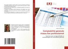 Comptabilité générale niveau bac professionnel kitap kapağı