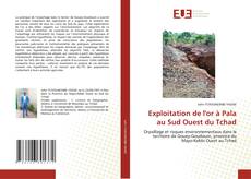 Bookcover of Exploitation de l'or à Pala au Sud Ouest du Tchad