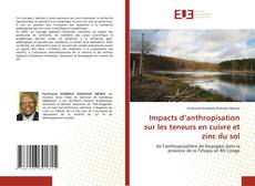 Couverture de Impacts d’anthropisation sur les teneurs en cuivre et zinc du sol