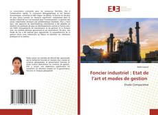 Обложка Foncier industriel : Etat de l’art et modes de gestion