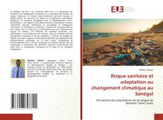 Risque sanitaire et adaptation au changement climatique au Sénégal的封面