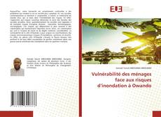 Borítókép a  Vulnérabilité des ménages face aux risques d’inondation à Owando - hoz