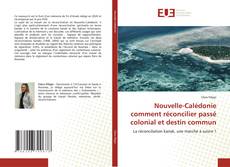 Nouvelle-Calédonie comment réconcilier passé colonial et destin commun kitap kapağı