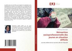 Bookcover of Réinsertion socioprofessionnelle des jeunes en situation difficile