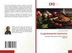 Borítókép a  La gastronomie ivoirienne - hoz