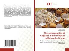 Borítókép a  Électrocoagulation et Coquilles d’œuf contre la pollution de chrome - hoz