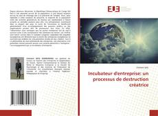 Borítókép a  Incubateur d'entreprise: un processus de destruction créatrice - hoz