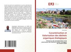 Borítókép a  Caractérisation et Valorisation des déchets organiques biologiques - hoz