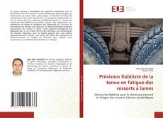 Copertina di Prévision fiabiliste de la tenue en fatigue des ressorts à lames