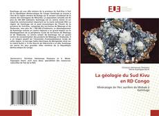 Bookcover of La géologie du Sud Kivu en RD Congo