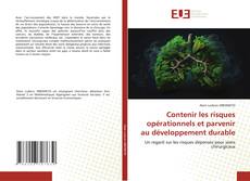 Bookcover of Contenir les risques opérationnels et parvenir au développement durable