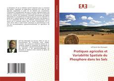 Pratiques agricoles et Variabilité Spatiale du Phosphore dans les Sols kitap kapağı